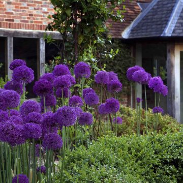 Landscaping in Kent, garden Designer Roger Platts' Traditional English Garden