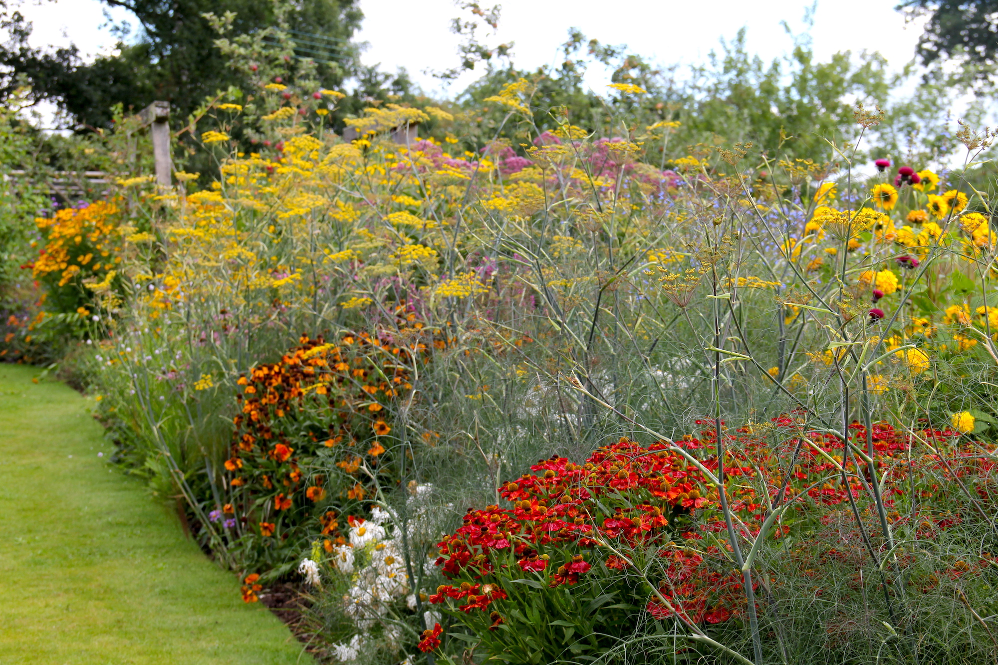 Late Summer Border at Leydens Garden. Built and maintained by gardeners in Kent at Roger Platts Garden Design and Nurseries