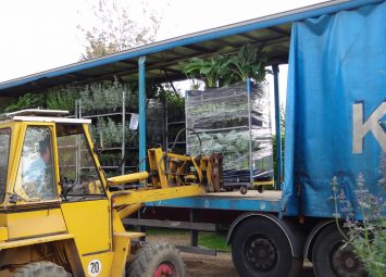 Loading of plants for a garden design project in London. Large plant orders